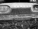 Autofriedhof - 098